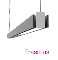 erasmus